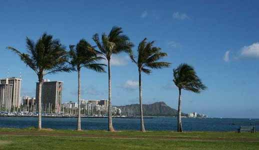 View from Magic Island